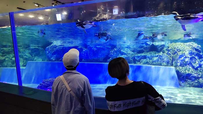 水族館での校外学習