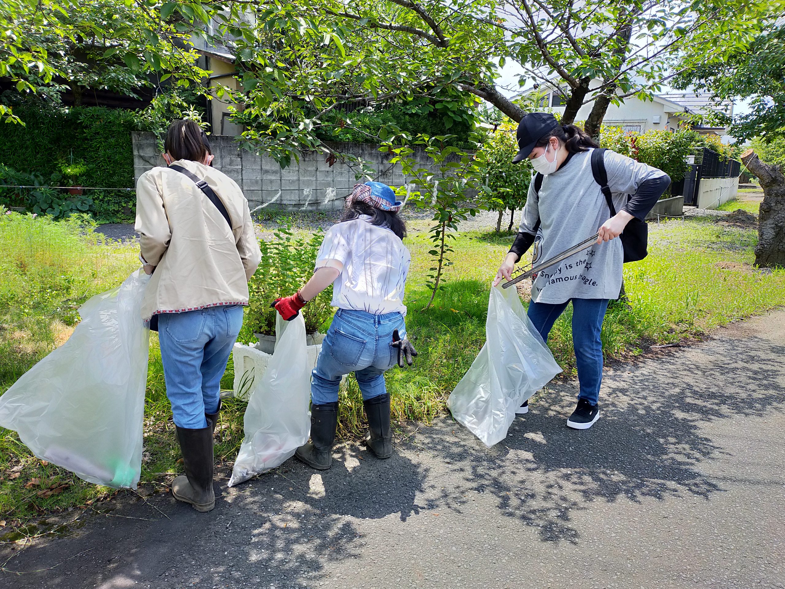 清掃 ボランティア 学ん だ こと